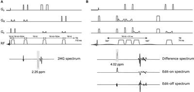 Comparison of 2-Hydroxyglutarate Detection With sLASER and MEGA-sLASER at 7T